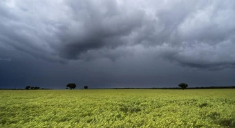 Rendimientos agrícolas: se moderan expectativas de lluvias para la próxima campaña