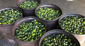 Histórica fábrica de bolitas busca expandirse por Sudamérica