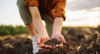 Bayer y fyoFoods se unen para promover la producción sustentable