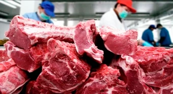 El nuevo destino al que Argentina exportará carne vacuna 