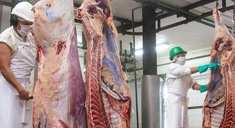 Por la sequía, esperan escasez de carne para octubre