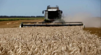 Exportaciones: los rubros del campo que más se desplomaron en septiembre