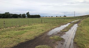 El clima da vuelta la campaña: cae la estimación de trigo y repunta la soja