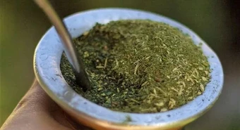 Yerba mate: revés judicial para Misiones en su intento por frenar a Milei