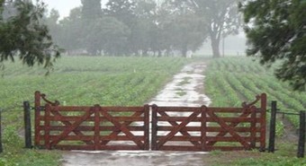 El agua trajo alivio y la zona núcleo sigue en carrera para buena campaña