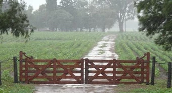 El agua trajo alivio y la zona núcleo sigue en carrera para buena campaña