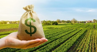Se estima una caída del 60% en la recaudación por retenciones 