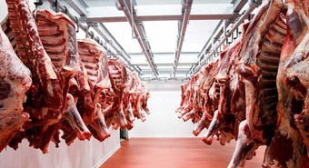Con más demanda de carne de China, ¿cuál es el escenario para 2025?