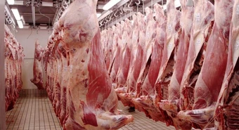 Argentina perderá u$s1050 M por las exportaciones de carne este año