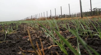 Registros dispares de lluvias en la zona núcleo y una sorpresa positiva