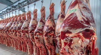 exportaciones de carne 