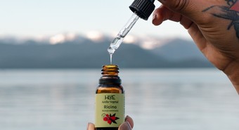Producen aceites esenciales y buscan expandirse por Latinoamérica