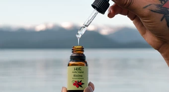 Producen aceites esenciales y buscan expandirse por Latinoamérica