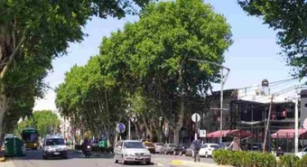 El barrio de Rosario que tiene sólo 10 locales comerciales vacíos