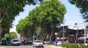 El barrio de Rosario que tiene sólo 10 locales comerciales vacíos
