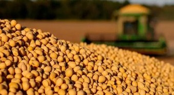El agro líquidó más de u$s20.000 M durante el primer semestre 