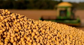 El agro líquidó más de u$s20.000 M durante el primer semestre 