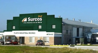 El gigante Surcos también presentó concurso de acreedores