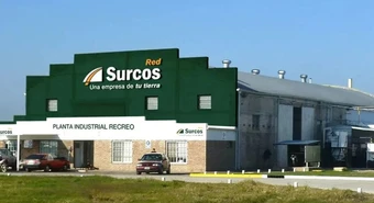 El gigante Surcos también presentó concurso de acreedores